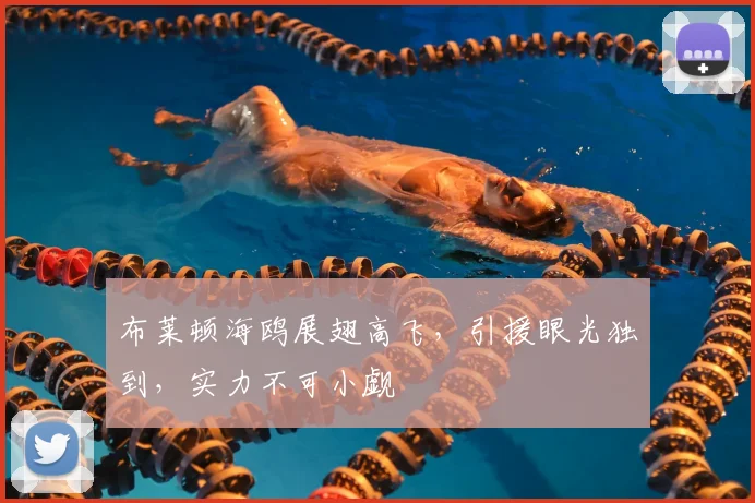 布莱顿海鸥展翅高飞,引援眼光独到,实力不可小觑