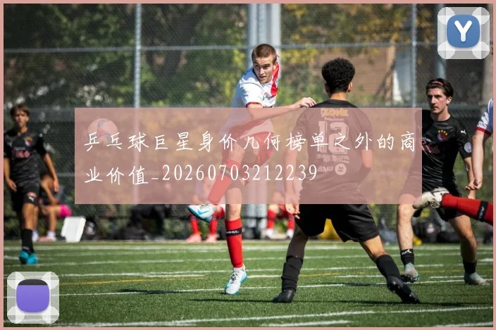 乒乓球巨星身价几何榜单之外的商业价值_20260703212239