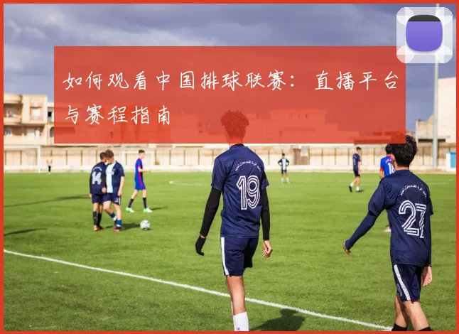 如何观看中国排球联赛：直播平台与赛程指南
