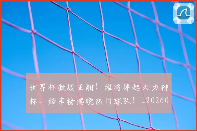 世界杯激战正酣！谁将捧起大力神杯，赔率榜揭晓热门球队！_20260703203743