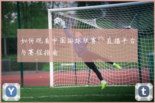 如何观看中国排球联赛:直播平台与赛程指南