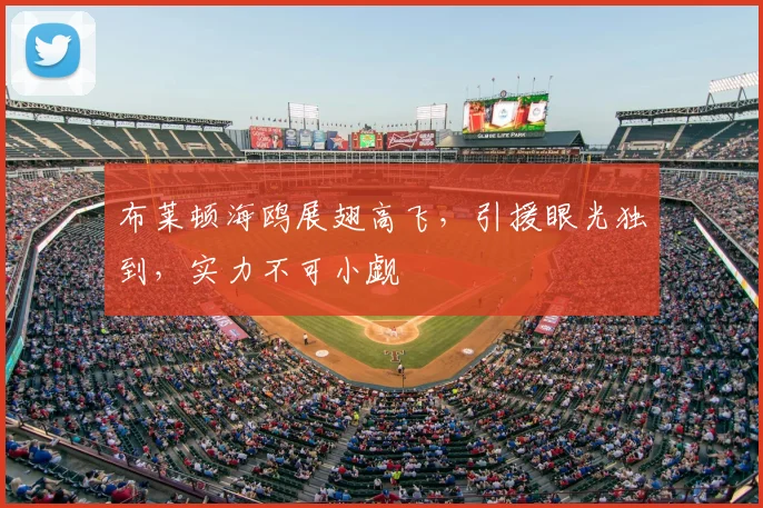 布莱顿海鸥展翅高飞，引援眼光独到，实力不可小觑