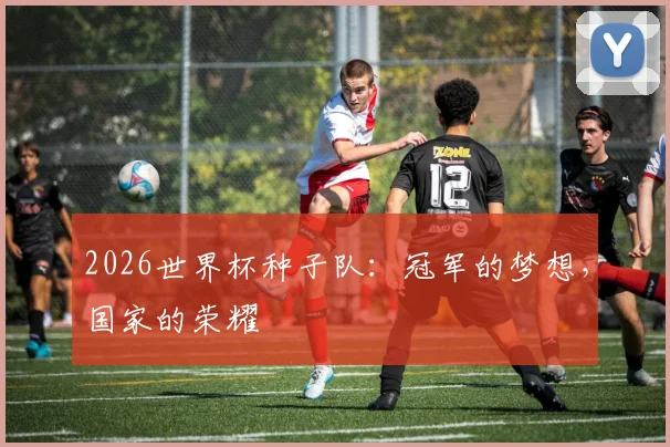 2026世界杯种子队：冠军的梦想，国家的荣耀